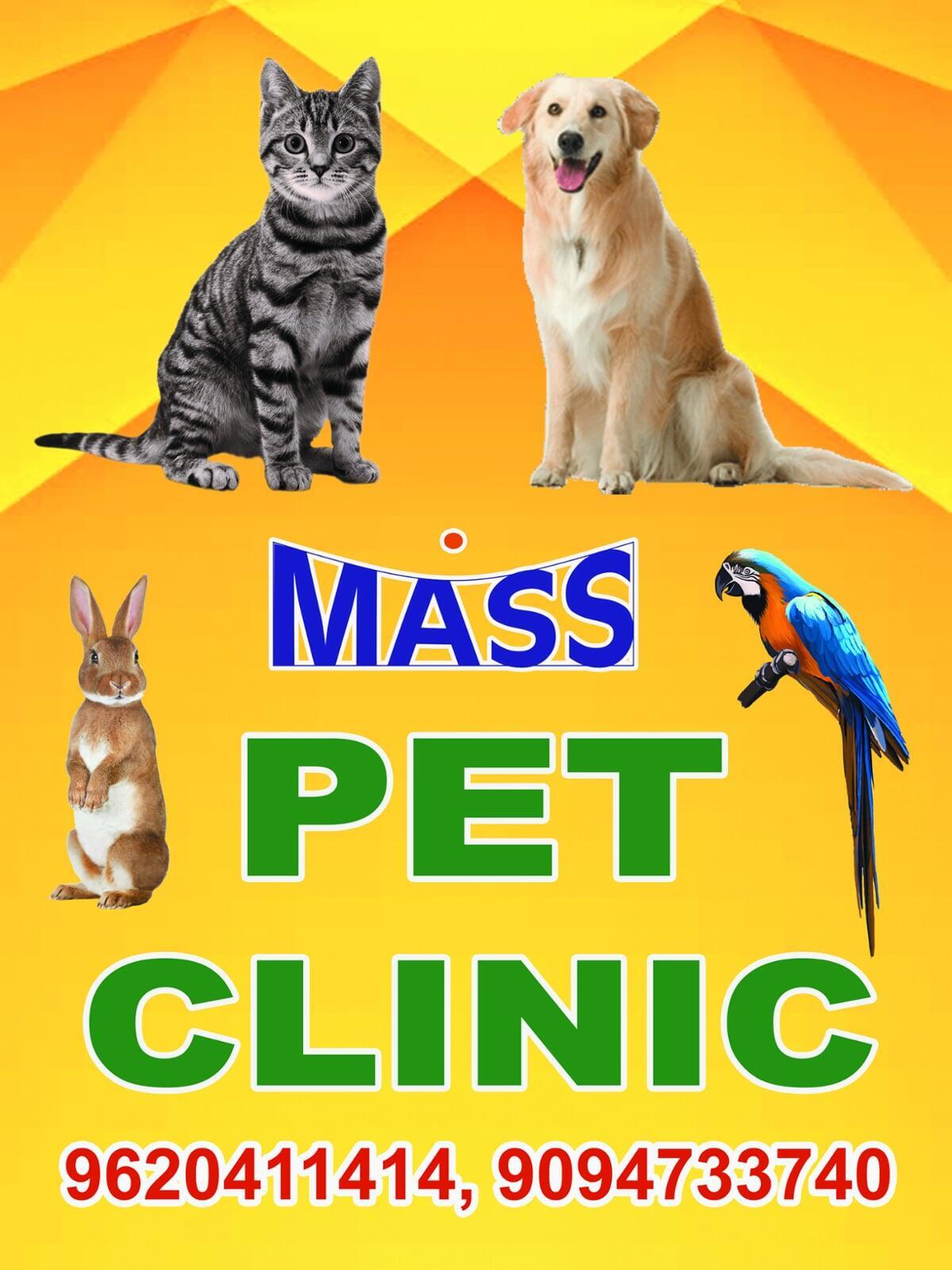 Twiz Scissor Banner Image