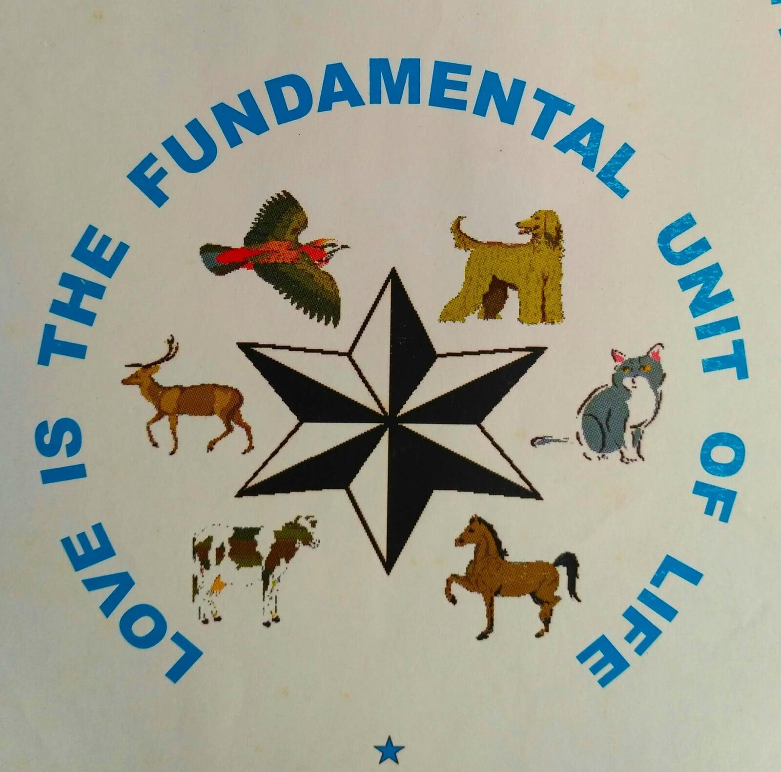 Twiz Scissor Banner Image 2